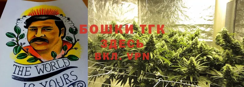 МАРИХУАНА Ganja  Пятигорск 